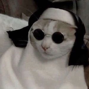 Meet your Posher, Johnny